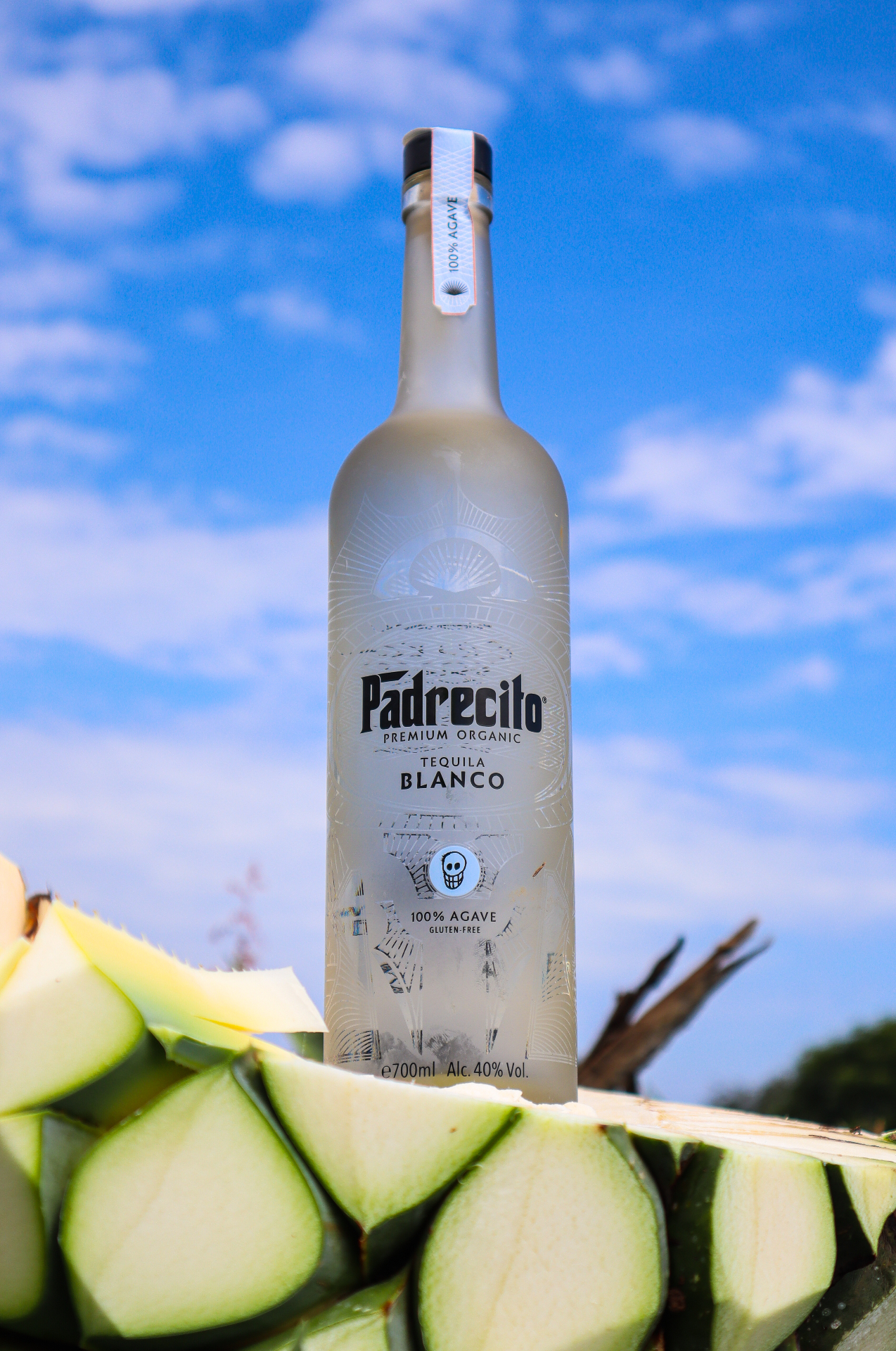 Padrecito bottle resting on freshly cut blue agave